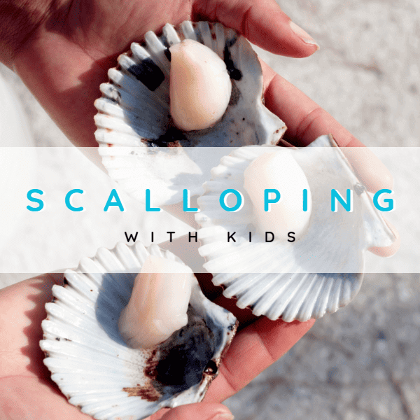 A child holding an open scallop in her hands