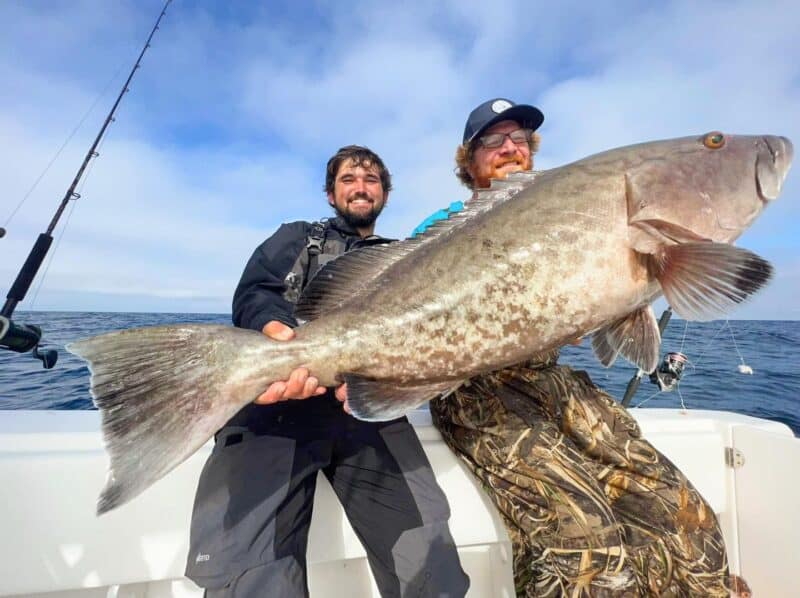 Two guys holding a big Grouper they just caught.