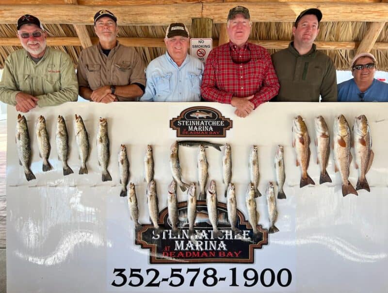 A group of guys posing behind a board with a limit of trout and redfish.