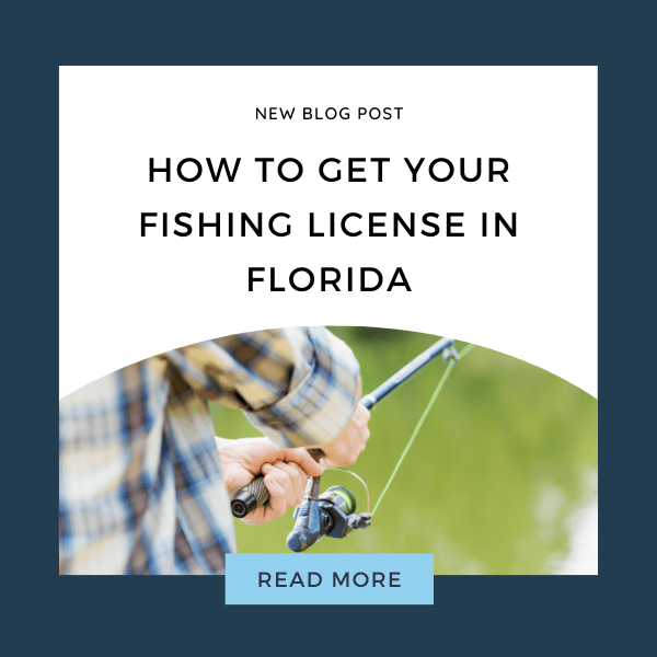 Fisherman fishing with an open face spinning reel with the caption, How to get your fishing license in Florida