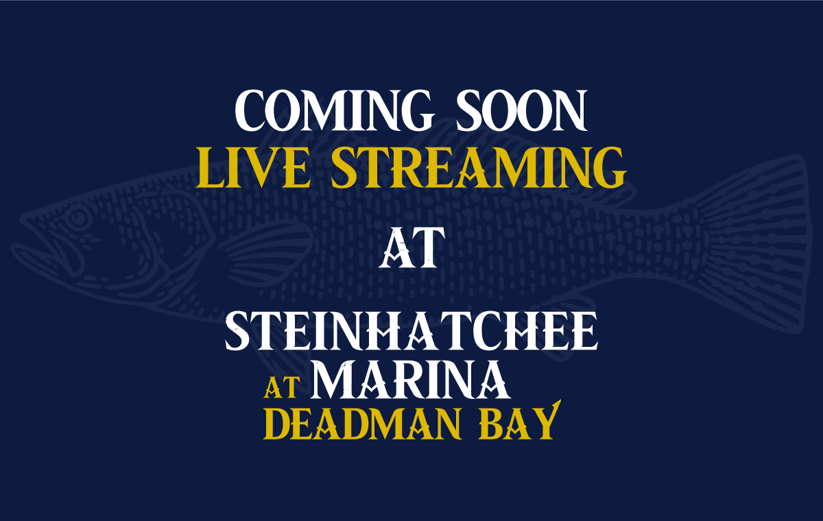 Image advertising that Live Streaming is coming to Steinhatchee Marina soon.