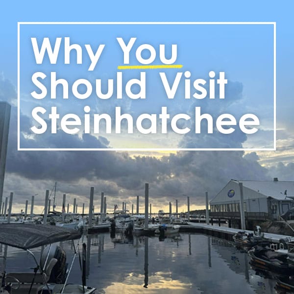 Boats sitting in wet slips